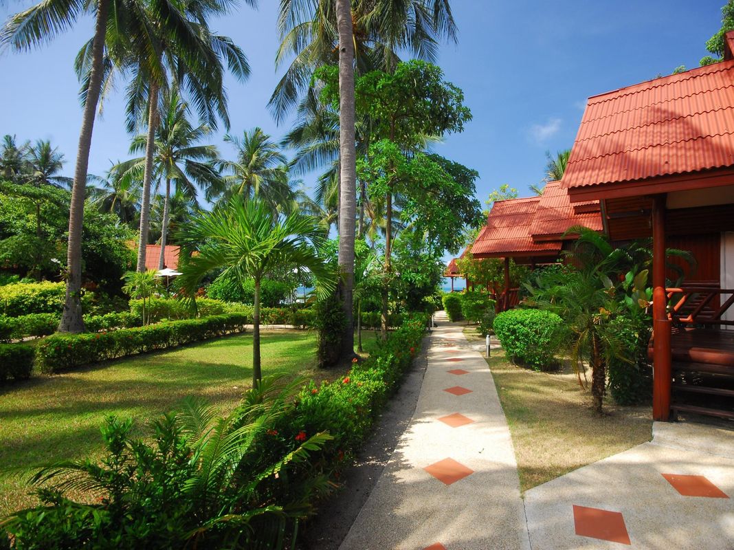 Morning Star Resort фото 17