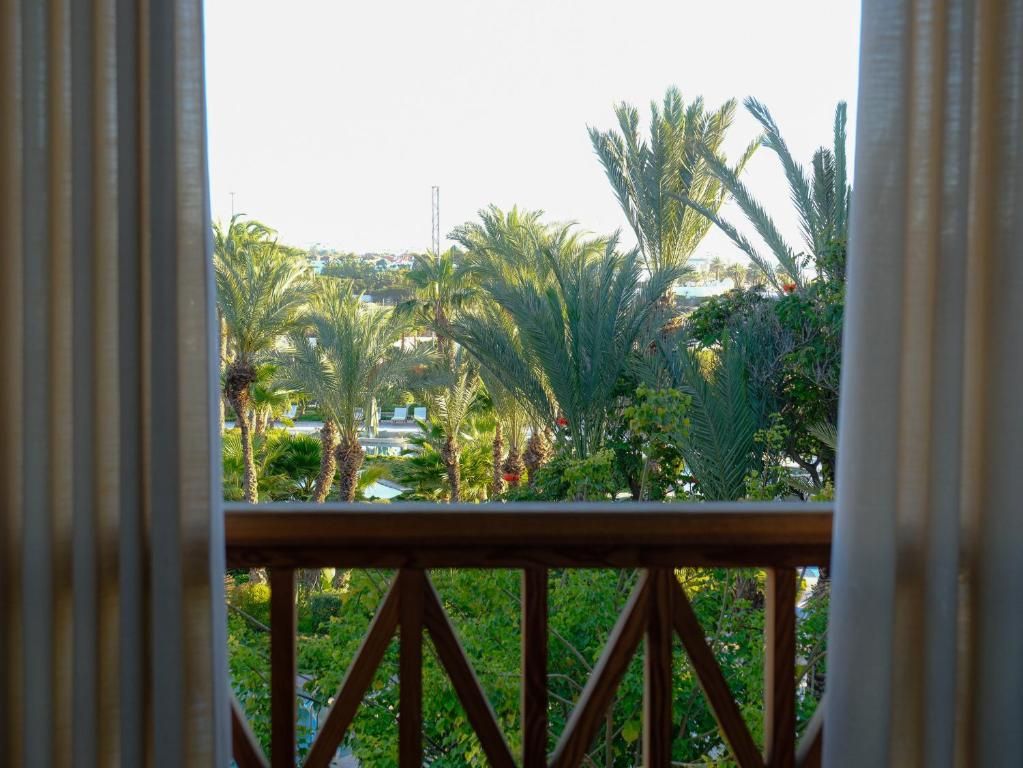 The View Agadir фото 12