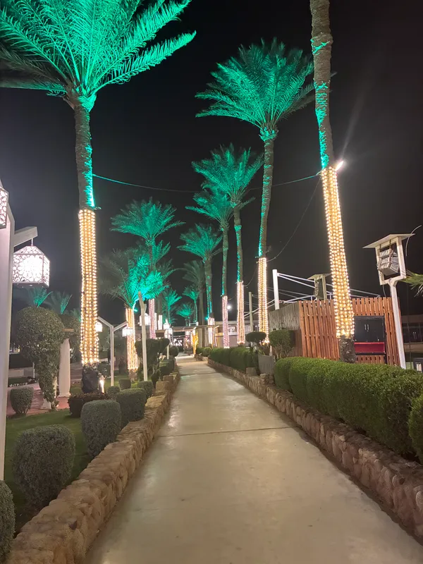 Regency Plaza Aqua Park & Spa Resort фото 62