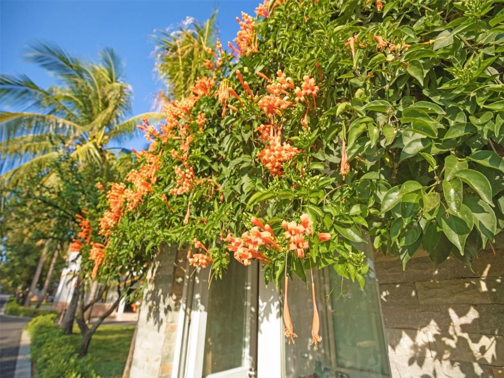 Bihai Jinsha Hotel фото 61