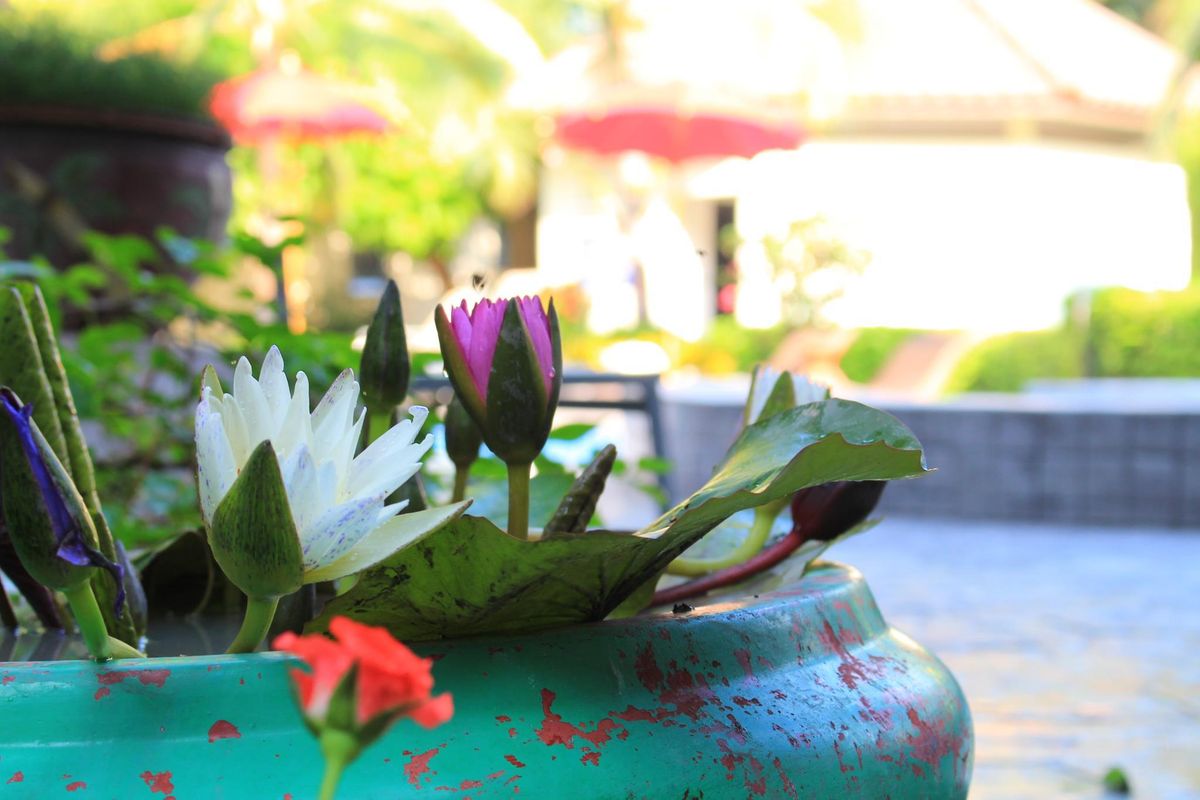 The Beach Garden Resort фото 17