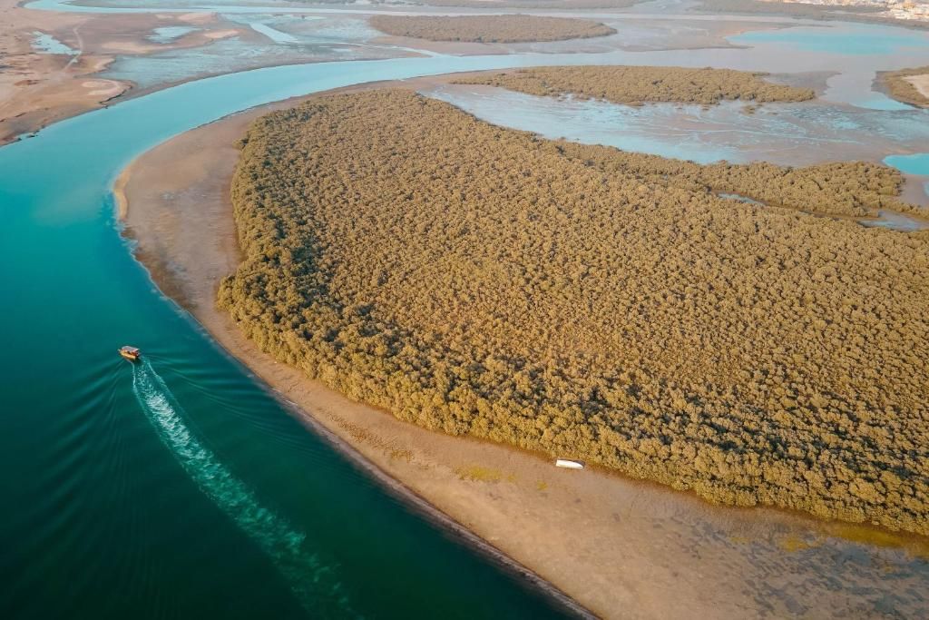 Rove Al Marjan Island фото 149