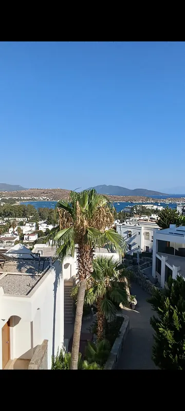 Afytos Bodrum фото 35