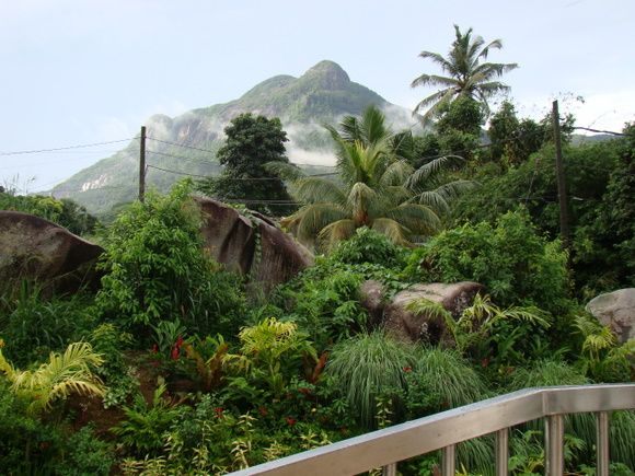 Hanneman Holiday Residence фото 13