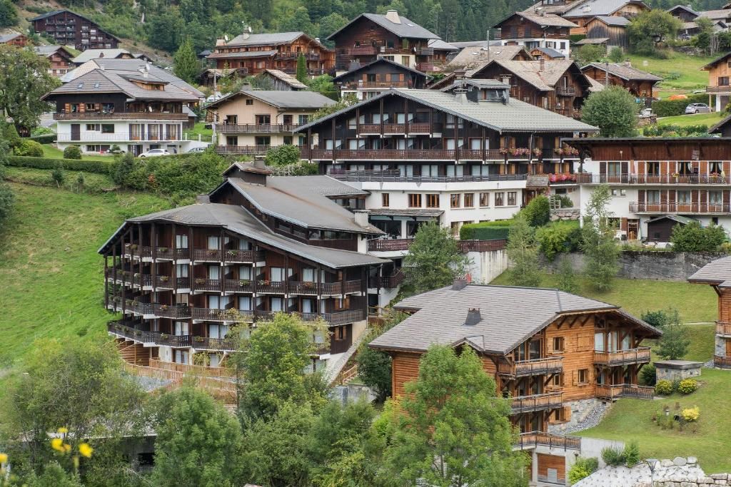 Hotel Le Petit Dru фото 21