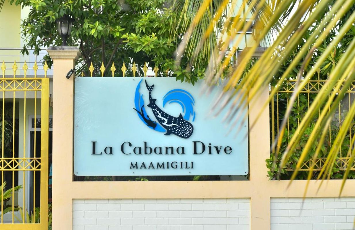 Guest House «La Cabana Hotel & Dive» фото 1